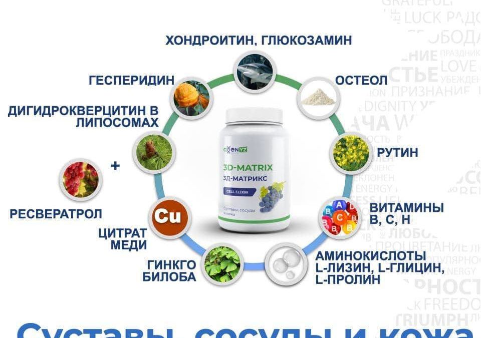 3D-Матрикс: Незаменимый помощник для соединительной ткани